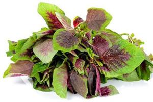 补血一天吃什么最好 正确搭配补血食物 补血一天吃什么最好 正确搭配补血食物