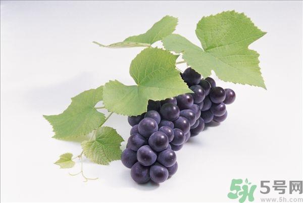 吃葡萄不吐葡萄皮好吗？葡萄皮的功效与作用