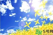 立秋润肺可以吃什么食物？秋天润肺可以吃的水果有哪些？