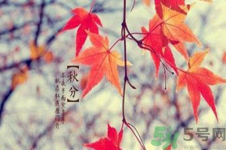 立秋润肺可以吃什么食物？秋天润肺可以吃的水果有哪些？