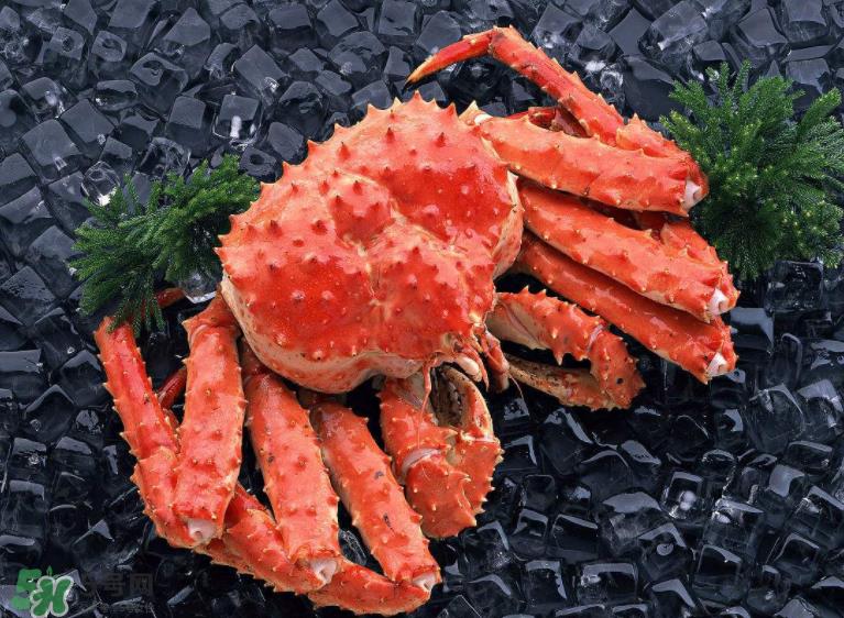 哪种螃蟹便宜？哪种螃蟹最贵？