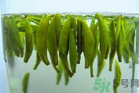 铁观音分为哪几类？铁观音属于什么茶？