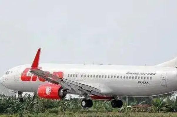 东航失事客机头等舱空姐丈夫发声 飞机失事会有幸存者吗 东航失事客机头等舱空姐丈夫发声 飞机失事会有幸存者吗