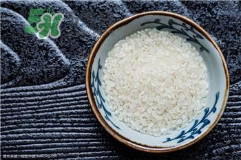 生虫的大米可以吃吗?如何防止大米长虫? 生虫的大米可以吃吗?如何防止大米长虫?