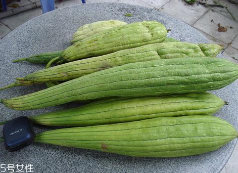 丝瓜老了还能吃吗？软的丝瓜口感会比较鲜甜