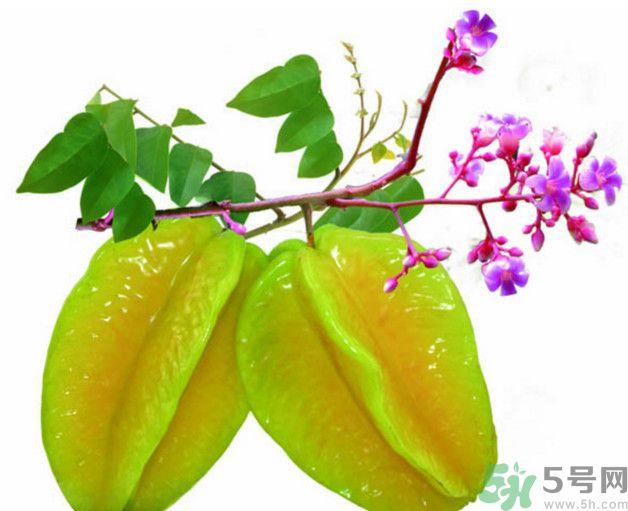 慢性肾炎可以吃杨桃吗？慢性肾炎吃杨桃好吗？