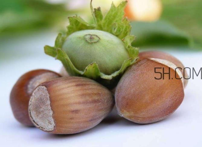 榛子生吃好还是熟吃好？榛子怎么吃营养价值高？