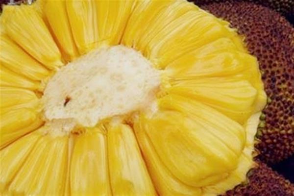 菠萝蜜可以和鸡蛋一起吃吗 菠萝蜜这样吃