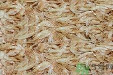 虾皮的做法是什么?虾皮的制作过程 虾皮的做法是什么?虾皮的制作过程