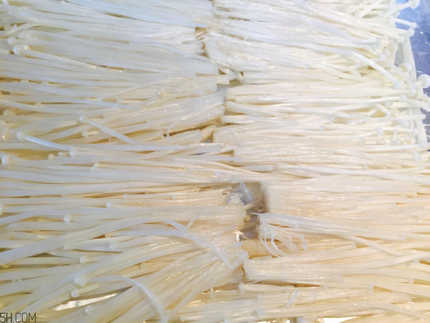 烤金针菇好吃的做法 烤箱版与家庭版推荐 烤金针菇好吃的做法 烤箱版与家庭版推荐