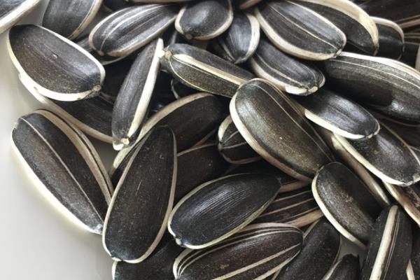 葵花籽有什么副作用 原来竟有这么多 葵花籽有什么副作用 原来竟有这么多