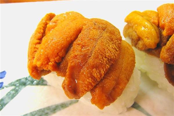 台湾和日本常见食用海胆种类