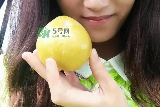 奈李是什么水果？奈李为什么会空心