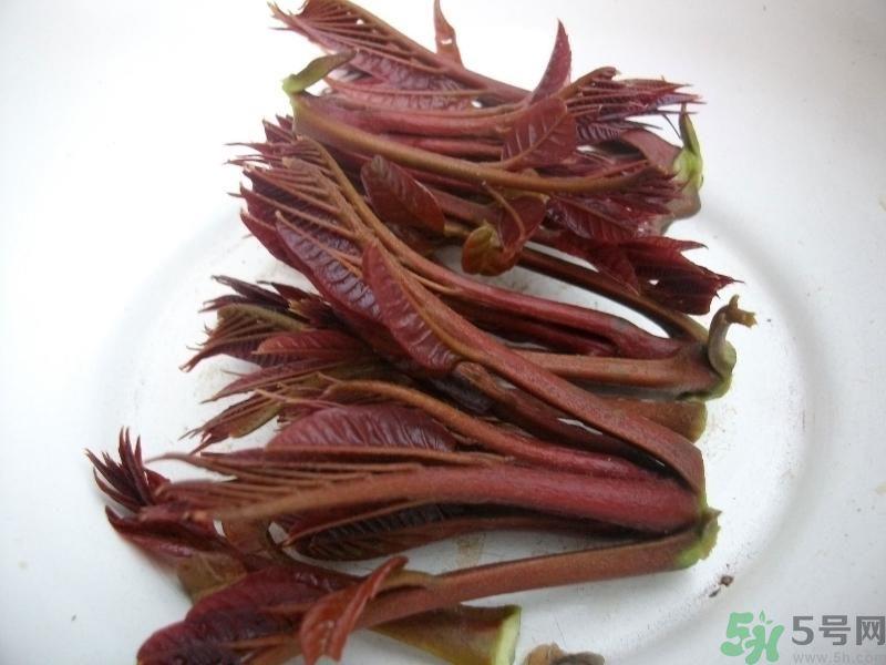 香椿好吃吗?香椿可以做菜吗? 香椿好吃吗?香椿可以做菜吗?