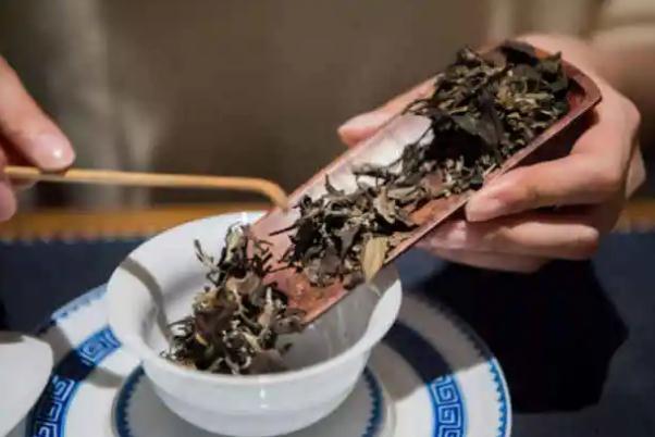 老白茶会苦吗 喝老白茶会失眠吗 老白茶会苦吗 喝老白茶会失眠吗