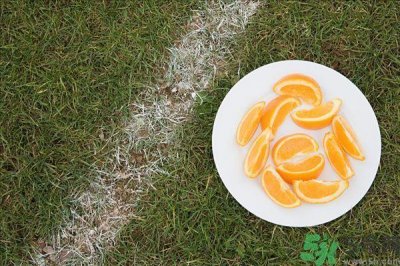 ​橘子上的白丝能吃吗 橘子上的白丝有什么作用