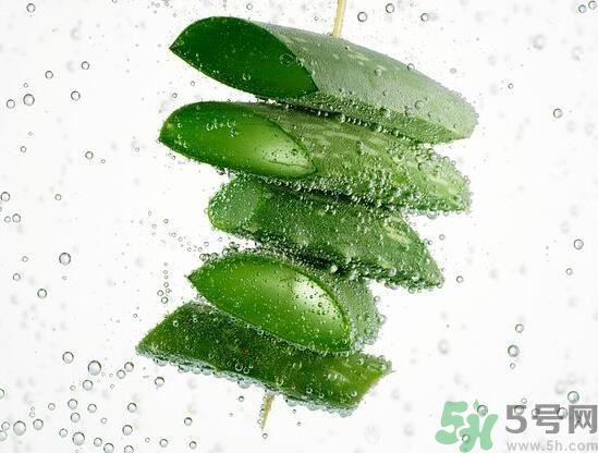 芦荟怎么榨汁好喝?芦荟可以榨汁吗? 芦荟怎么榨汁好喝?芦荟可以榨汁吗?
