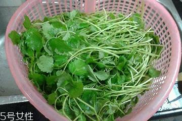 益母草晒干后怎么保存 密封干燥