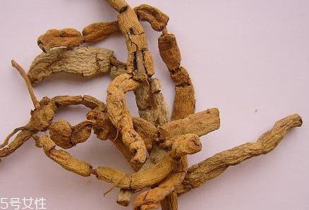 巴戟天是寒性还是热性 性温味辛