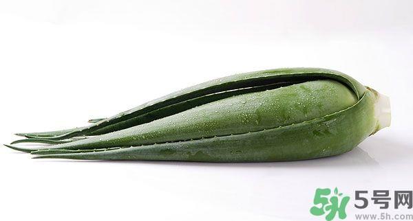 经期可以吃芦荟吗？经期吃芦荟会肚子痛吗？