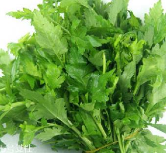 菊花脑是苦的吗？菊花脑苦不苦？