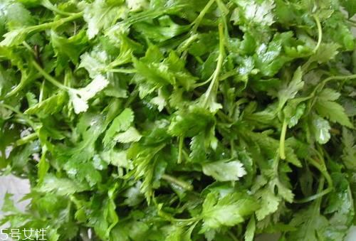 菊花脑是苦的吗？菊花脑苦不苦？