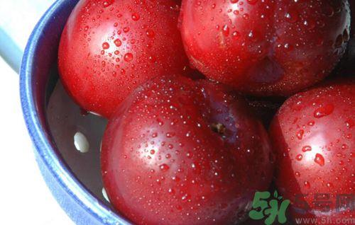 李子可以放冰箱吗？李子应该怎样保存？