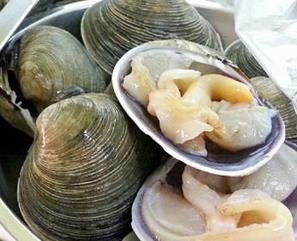 文蛤的热量 文蛤吃了会长胖吗？