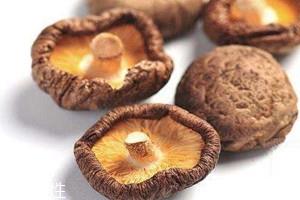 干香菇可以保存多久 干香菇保质期 干香菇可以保存多久 干香菇保质期