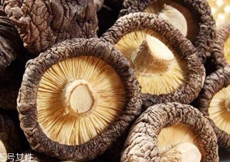 干香菇可以保存多久 干香菇保质期 干香菇可以保存多久 干香菇保质期