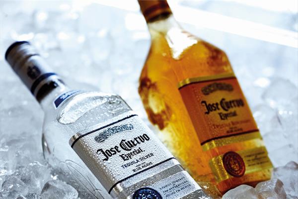 龙舌兰酒的特点 龙舌兰酒的喝法 龙舌兰酒的特点 龙舌兰酒的喝法