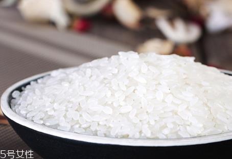 贡米是什么米 贡米怎么样