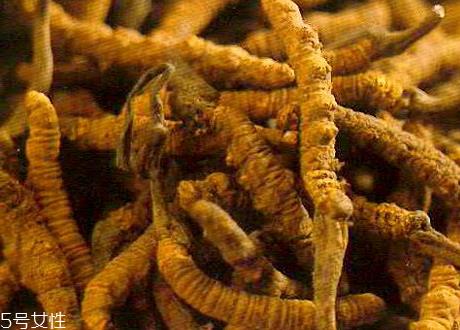 草参多少钱一斤 价格不贵