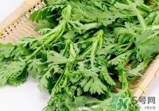 茼蒿吃多了会怎么样?茼蒿吃多了好吗? 茼蒿吃多了会怎么样?茼蒿吃多了好吗?