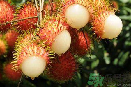 红毛丹的怎么做好吃?红毛丹的做法 红毛丹的怎么做好吃?红毛丹的做法