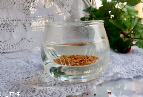 藜麦茶怎么泡 开水冲泡即可