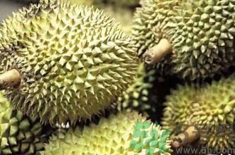 榴莲裂开好还是不裂好?榴莲裂开的好吗? 榴莲裂开好还是不裂好?榴莲裂开的好吗?