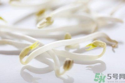 ​绿豆芽是凉性的吗？绿豆芽是凉性还是热性？