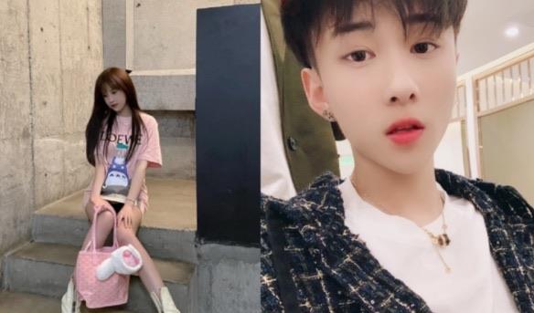 娱乐杨清柠为什么退网了（杨清柠个人资料及介绍）  2