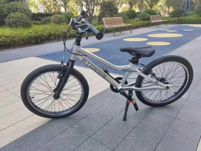 儿童自行车什么牌子好?-