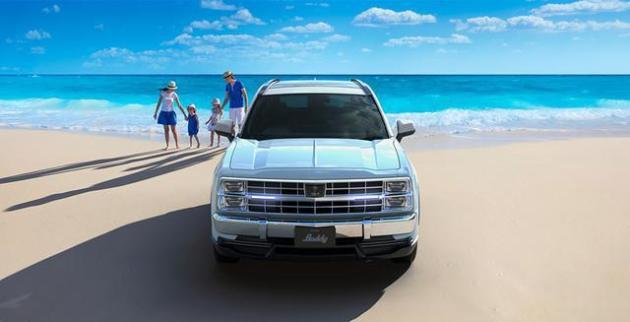 电业局长家里查出的光冈女王,是什么来头?-