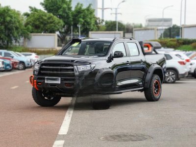 ​车标WEY是什么车