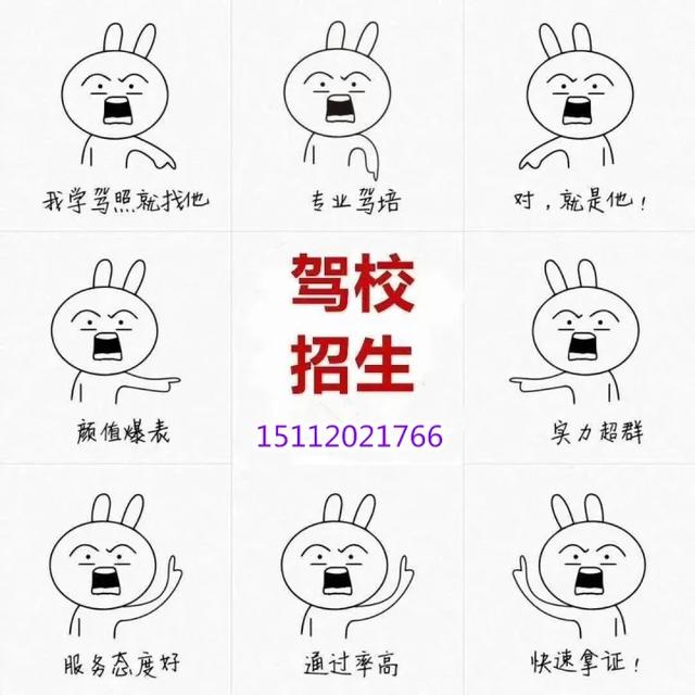 开校车需要什么级别的驾照，B1,A2,A3驾驶证能开多少座校车？-