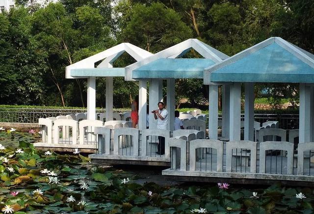 来到中山一定要到的公园,紫马岭公园,值得一游!记得关注哟!