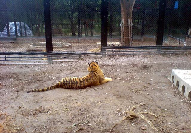 来到中山一定要到的公园,紫马岭公园,值得一游!记得关注哟!