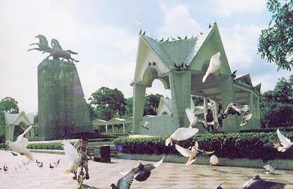 来到中山一定要到的公园,紫马岭公园,值得一游!记得关注哟!