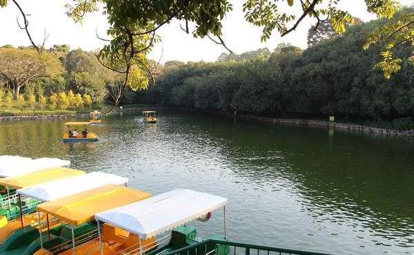 来到中山一定要到的公园,紫马岭公园,值得一游!记得关注哟!