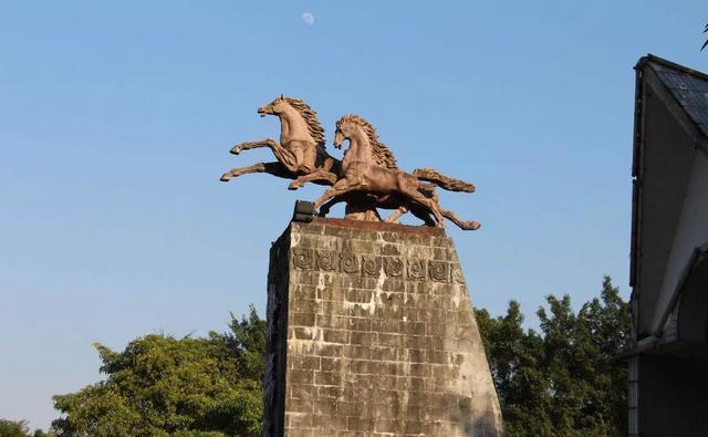 来到中山一定要到的公园,紫马岭公园,值得一游!记得关注哟!