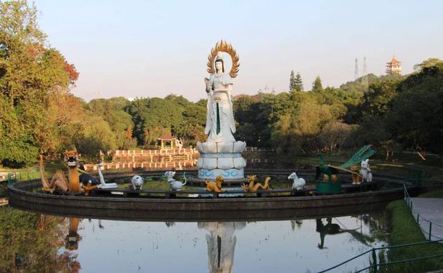 来到中山一定要到的公园,紫马岭公园,值得一游!记得关注哟!