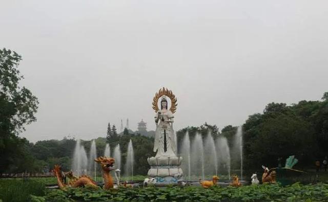 来到中山一定要到的公园,紫马岭公园,值得一游!记得关注哟!